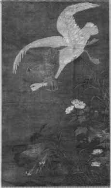 illustration illustration